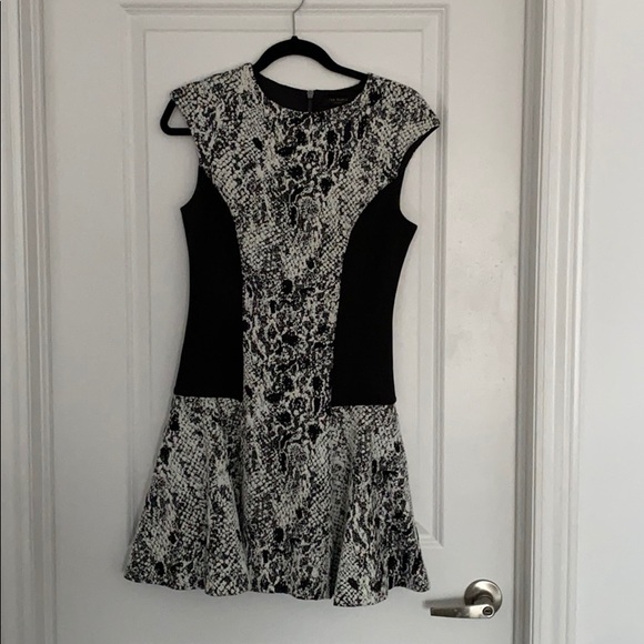 Ted Baker skater dress- Ted size 2 - Picture 1 of 2